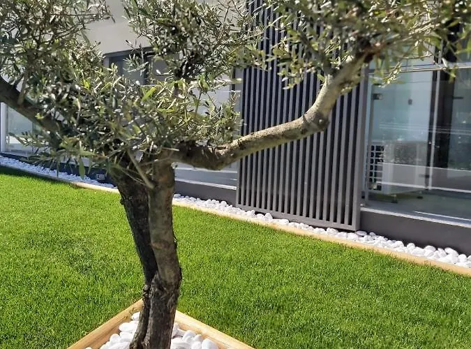 Monte By The Διαμέρισμα