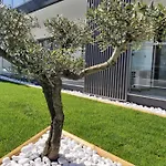 Monte By The Apartamento